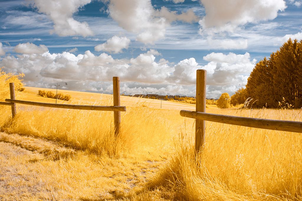 Infrared Photography