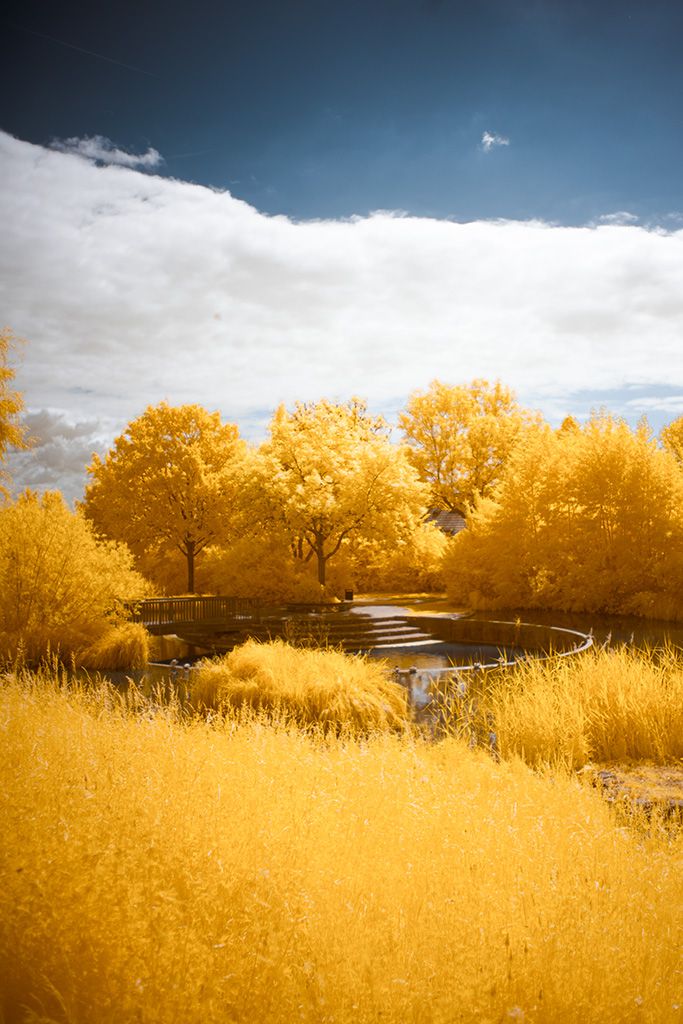 Infrared Photography